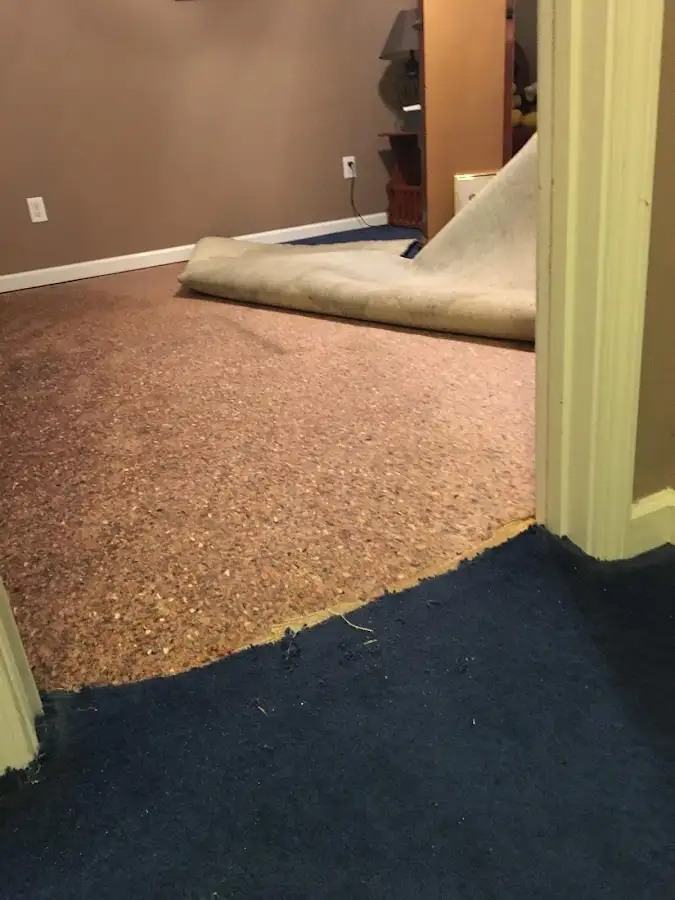 Carpet pad removal revealing water damage during Water Mitigation Services in Town 'n' Country