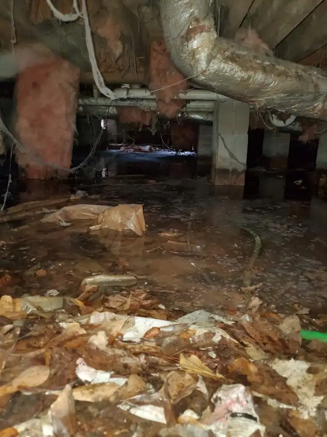 Crawl space flood assessment for Commercial Water Damage Restoration in Town 'n' Country